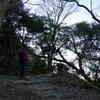 IMGP0923