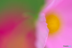 やわらかく1