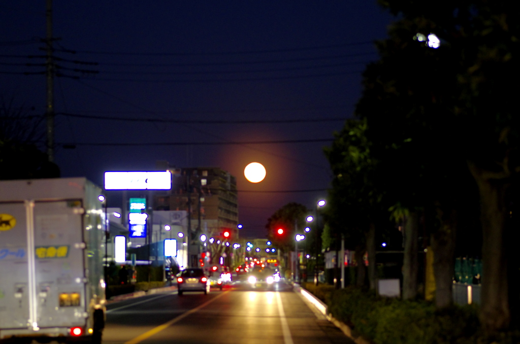 春の月
