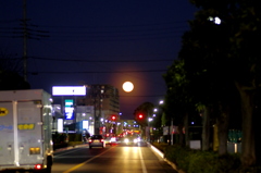 春の月