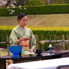 Tea Ceremony