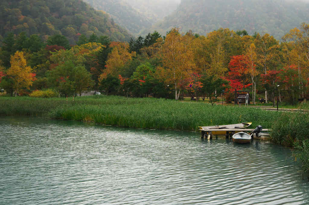 湯ノ湖湖畔