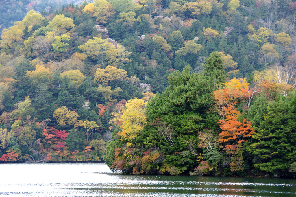 湯元　紅葉１