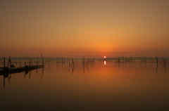 印旛沼の日の出