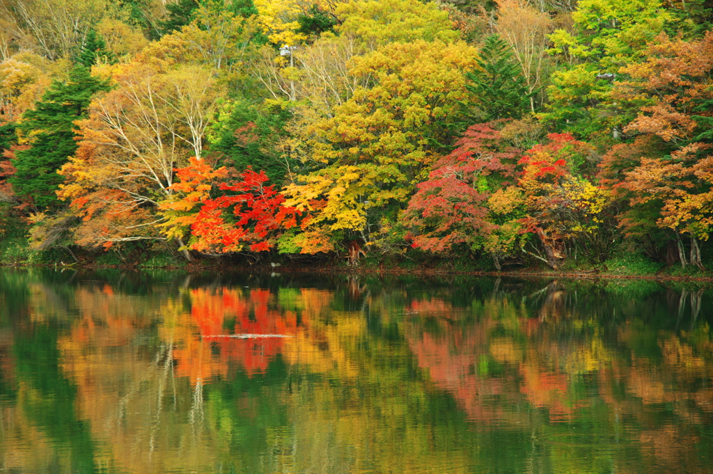湯ノ湖　紅葉