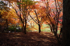 川村美術館の庭園