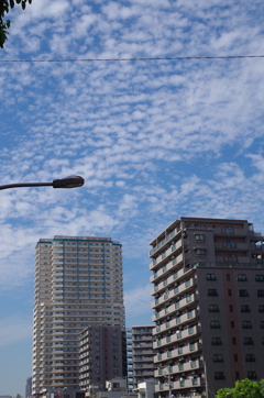 秋の空