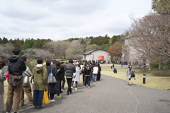 閉館前々日