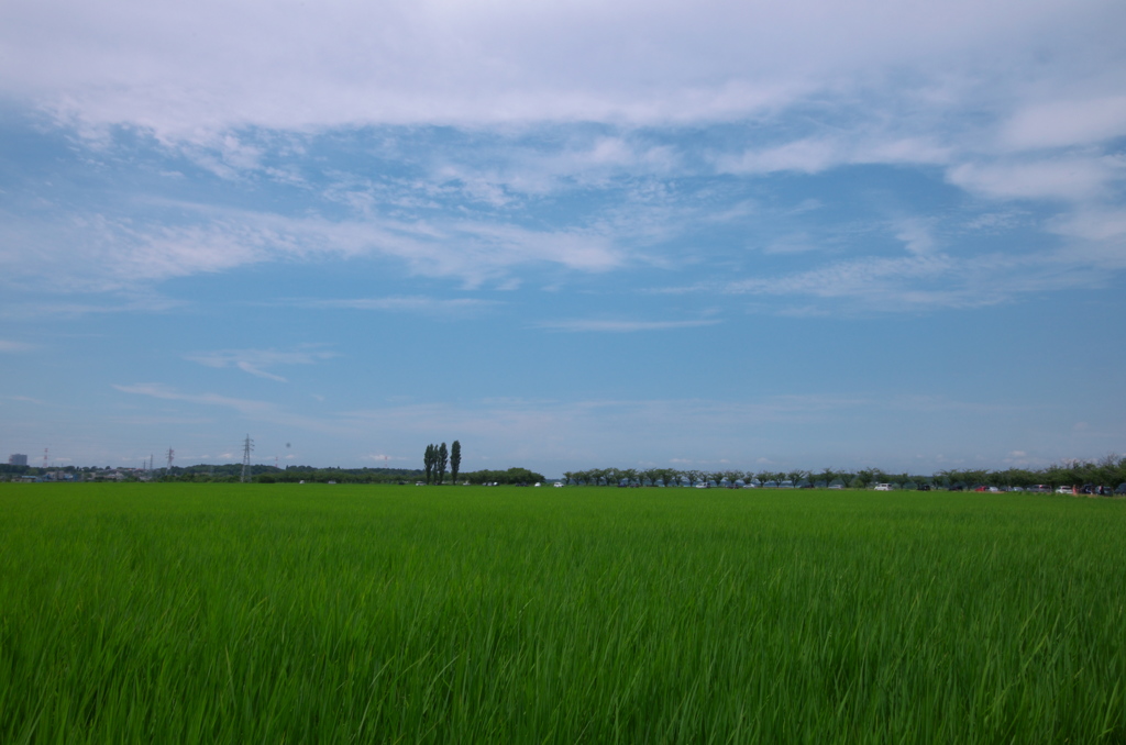 印旛沼・田園・空