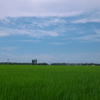 印旛沼・田園・空
