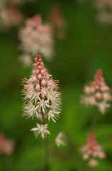 May  l  have your  name ?