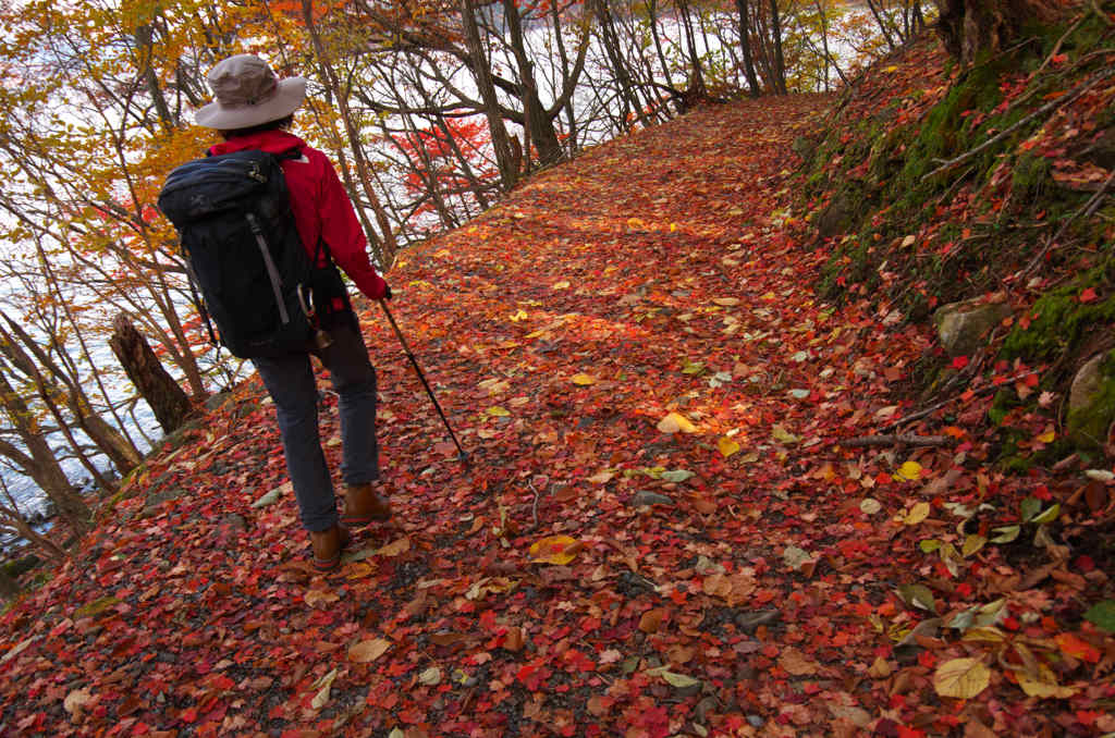 落葉の登山道