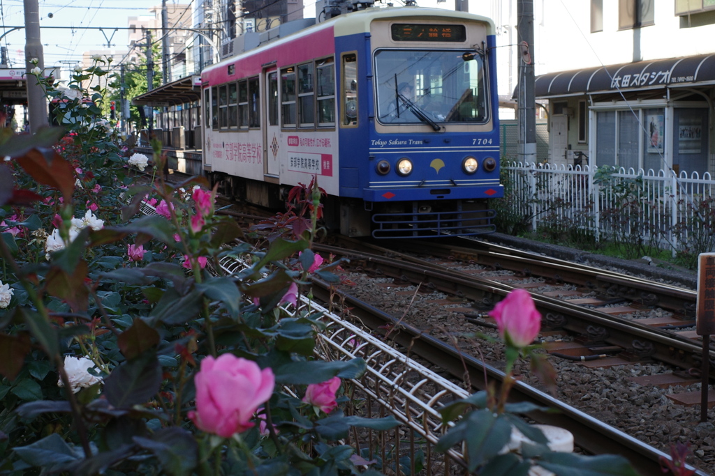 東京トラム町屋