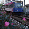 東京トラム町屋
