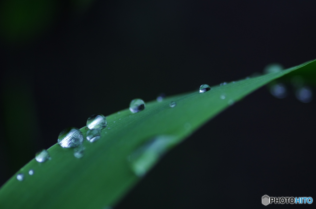 今日も雨、意地でも外に出る。03