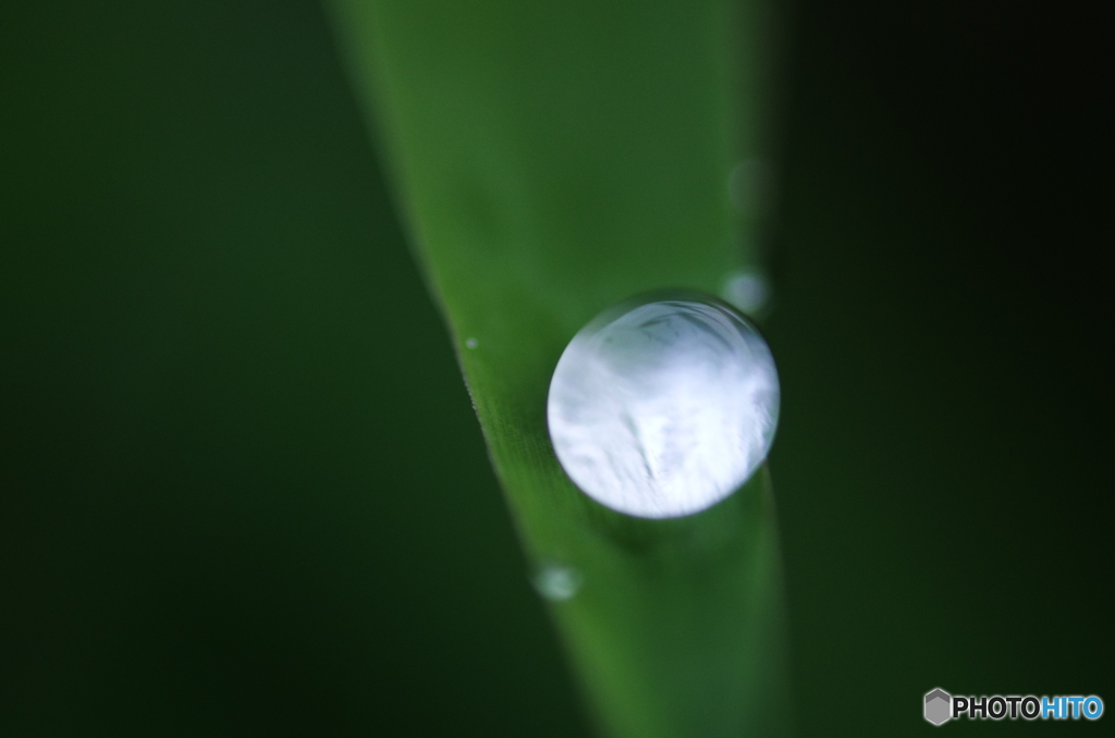 今日も雨、意地でも外に出る。01