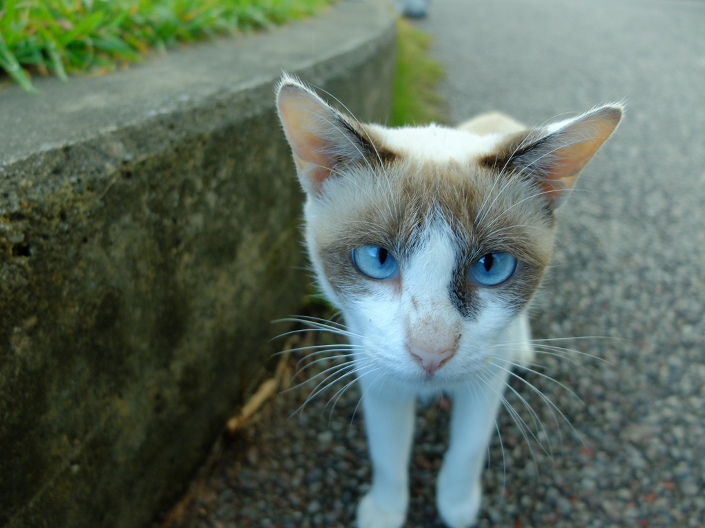 おい。