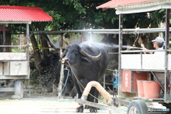 仕事後のひと時