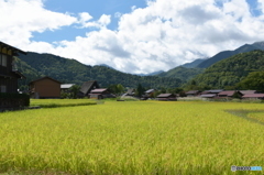 実りの秋の日に、、、