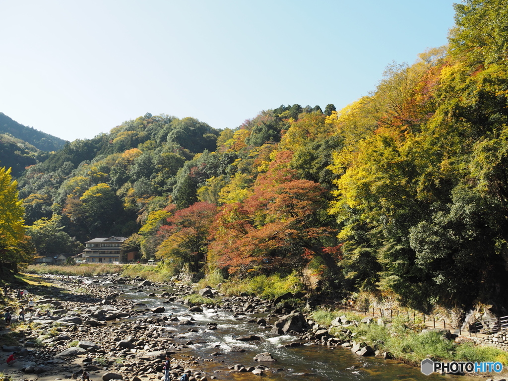 秋の色づきは、後、もう少し