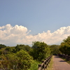 この雲が流れてくれれば、そこには