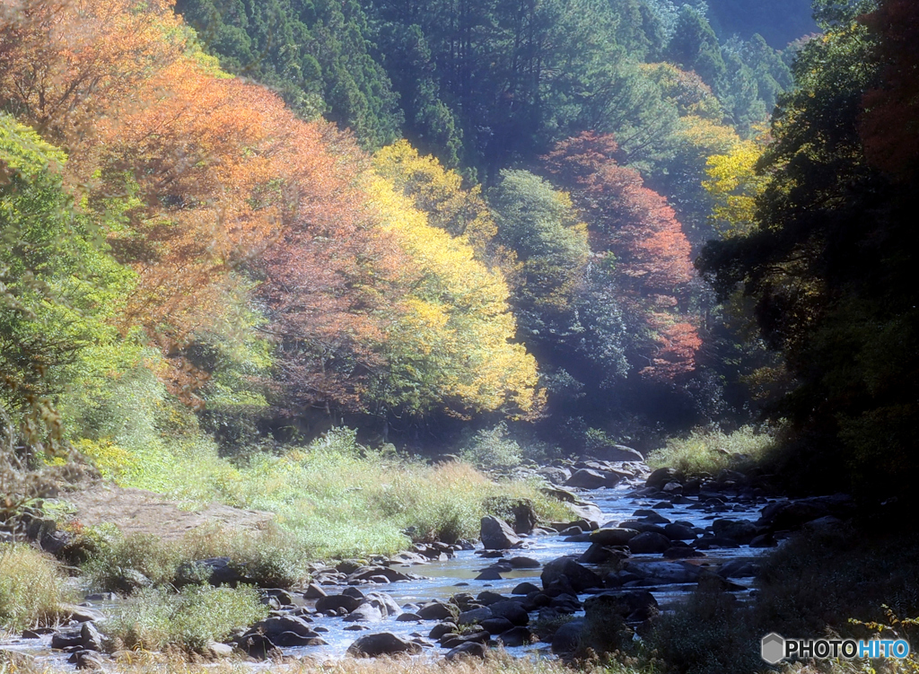 紅葉の季節に向けて