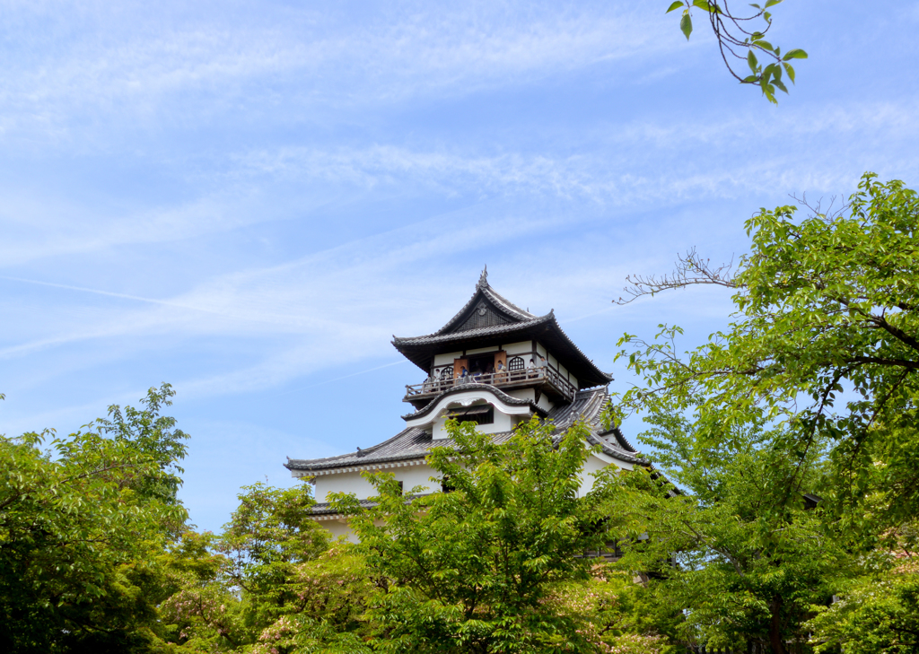 新緑と犬山城