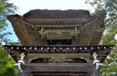 静かな佇まいの中で、、、