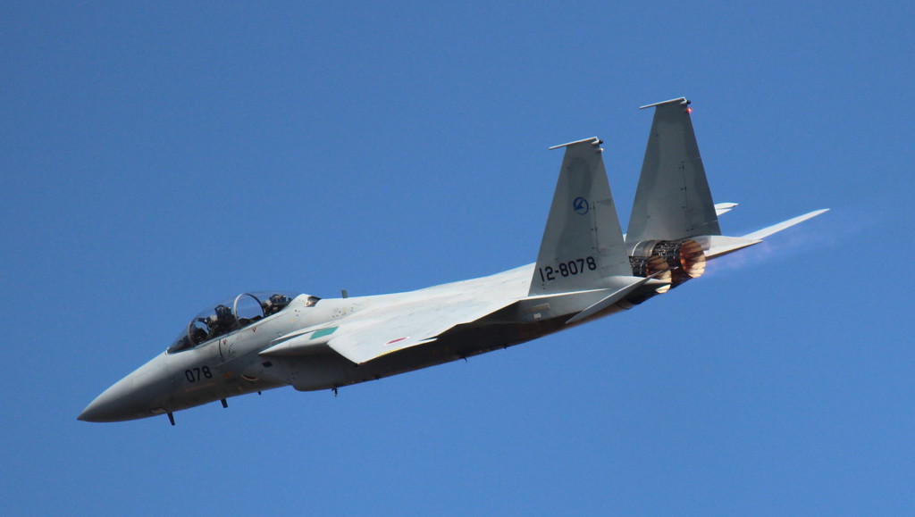 岐阜基地航空祭2013　F15
