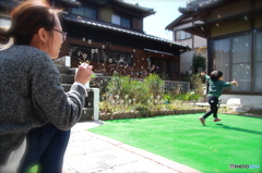 本能。