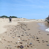 カラフル浜辺