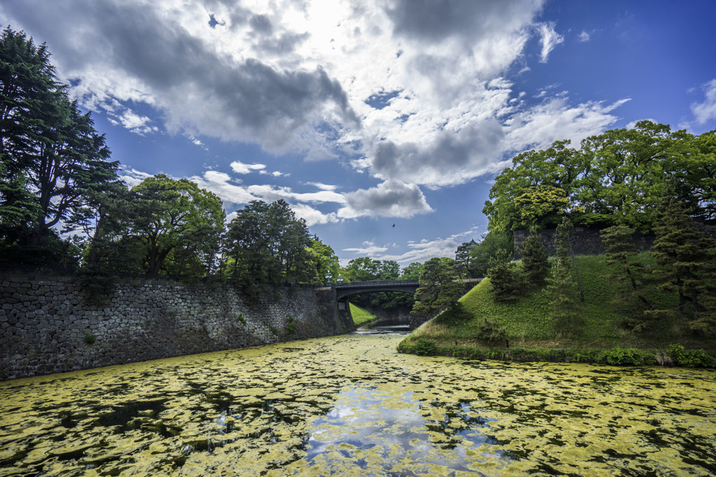 皇居と5月の空