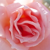 Beautiful!