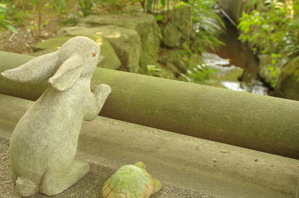 うさぎとかめ