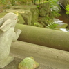 うさぎとかめ