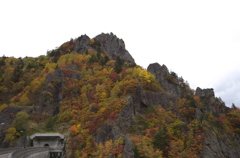 紅葉
