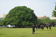 卒業の季節-台南散散步#3@成功大學