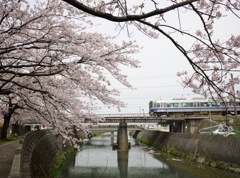 桜の季節