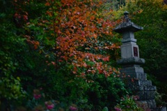 Niwa06