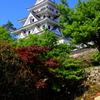 郡上八幡城(春景)