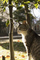 木陰で・・・。