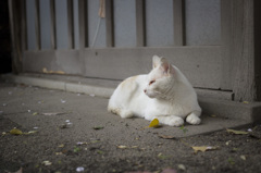 遠くを見つめて・・・