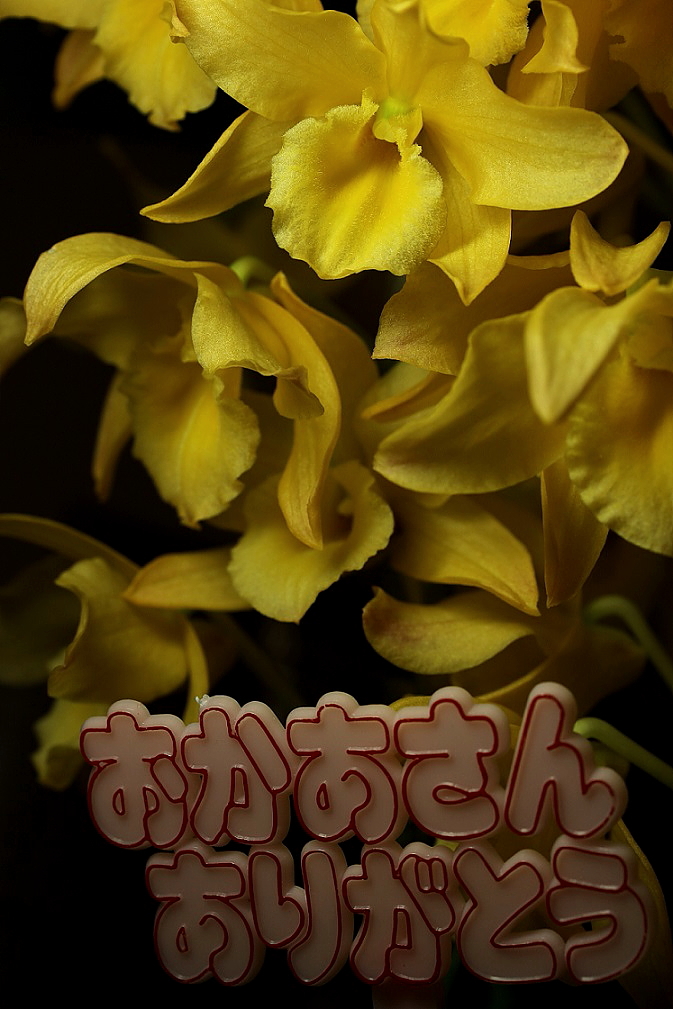 ご褒美