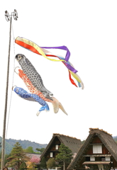 5月5日