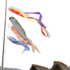 5月5日