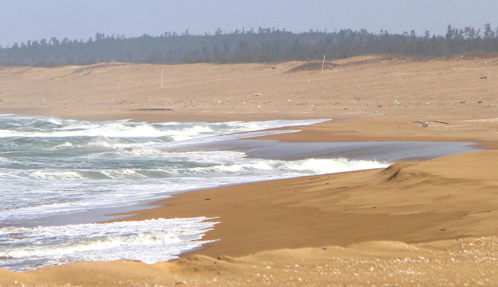 冬の海岸散歩
