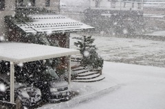 雪が降る