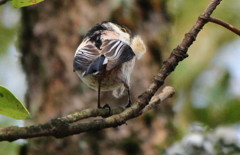 見ちゃイヤ～。