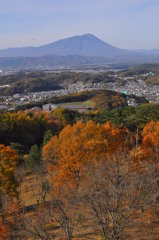 盛岡市と岩手山