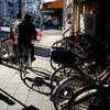 蕨